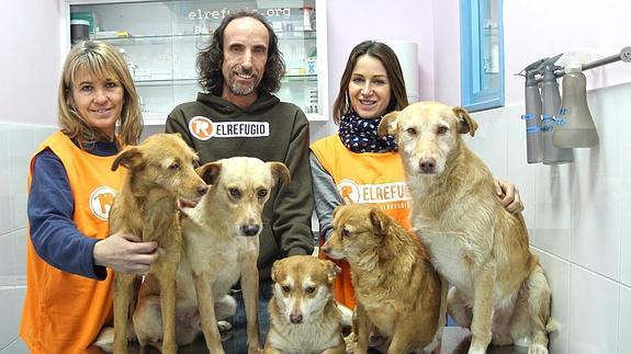 La protectora El Refugio ofrece atenci&oacute;n veterinaria gratuita a perros y gatos de desempleados