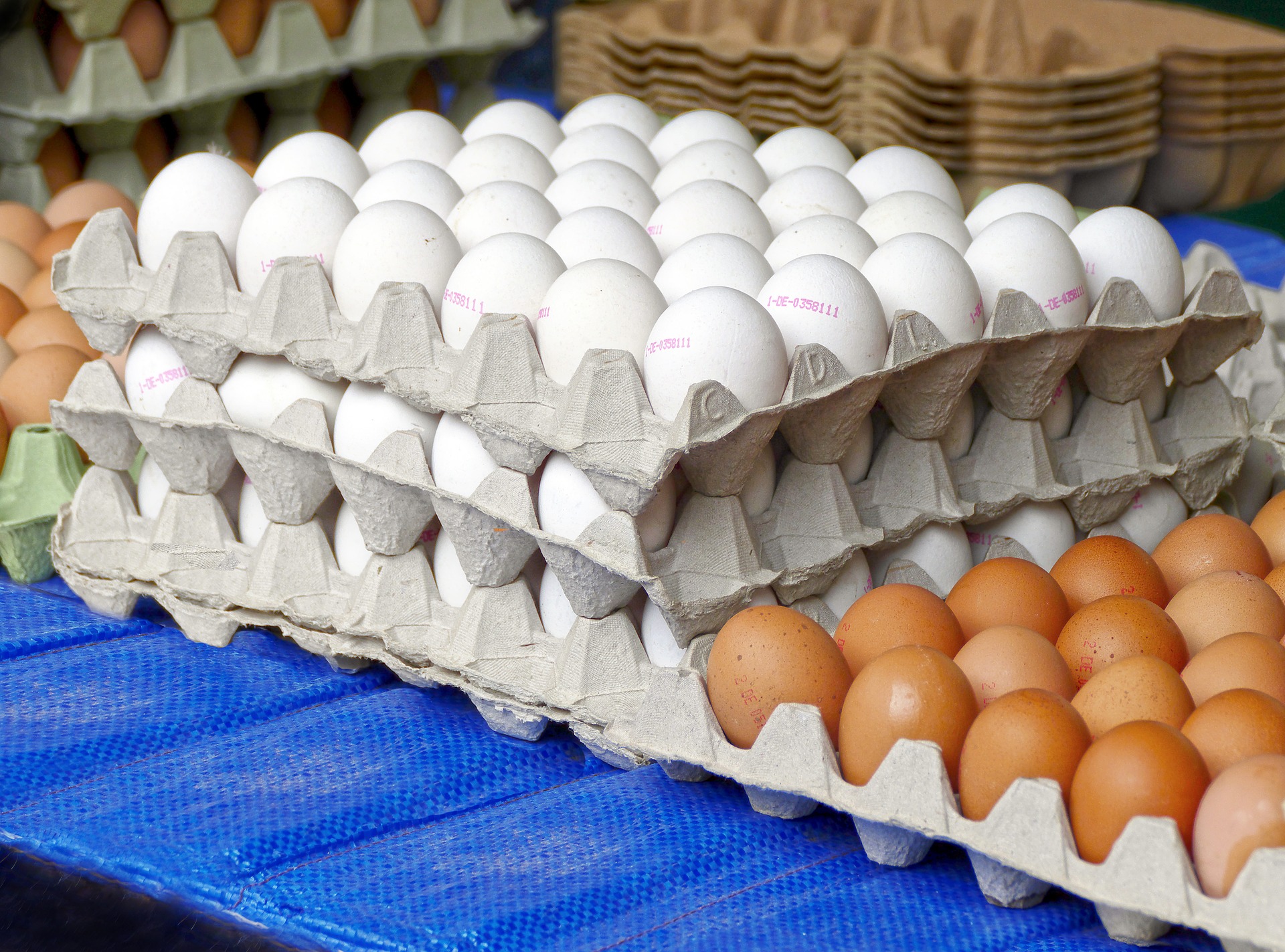 Sector tur&iacute;stico consume 30,000 huevos diarios