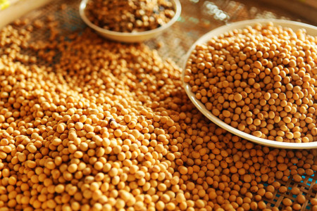 Aumenta en China la demanda de carne de origen vegetal