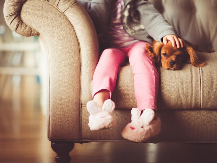 Tener perro podr&iacute;a reducir el riesgo de alergias y obesidad