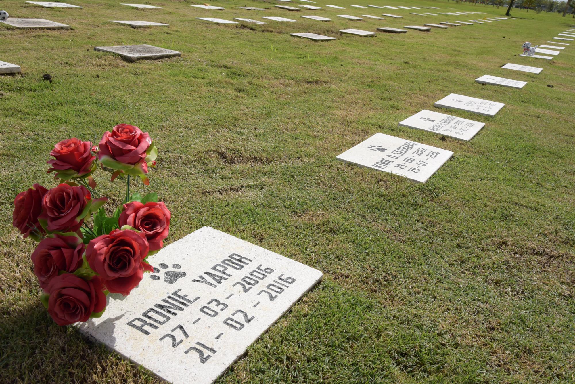 Un cementerio de mascotas: para ser fiel hasta la muerte