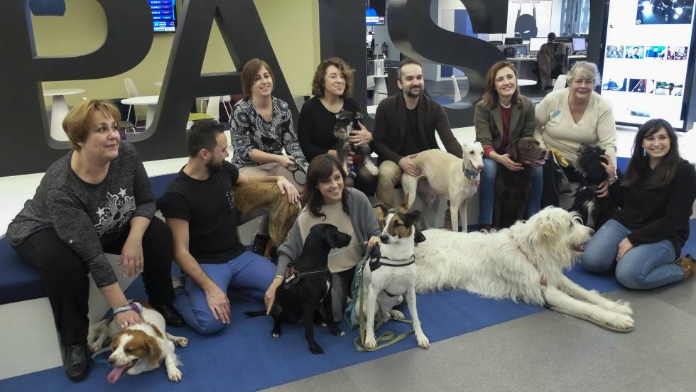 Un d&iacute;a de perros en la oficina