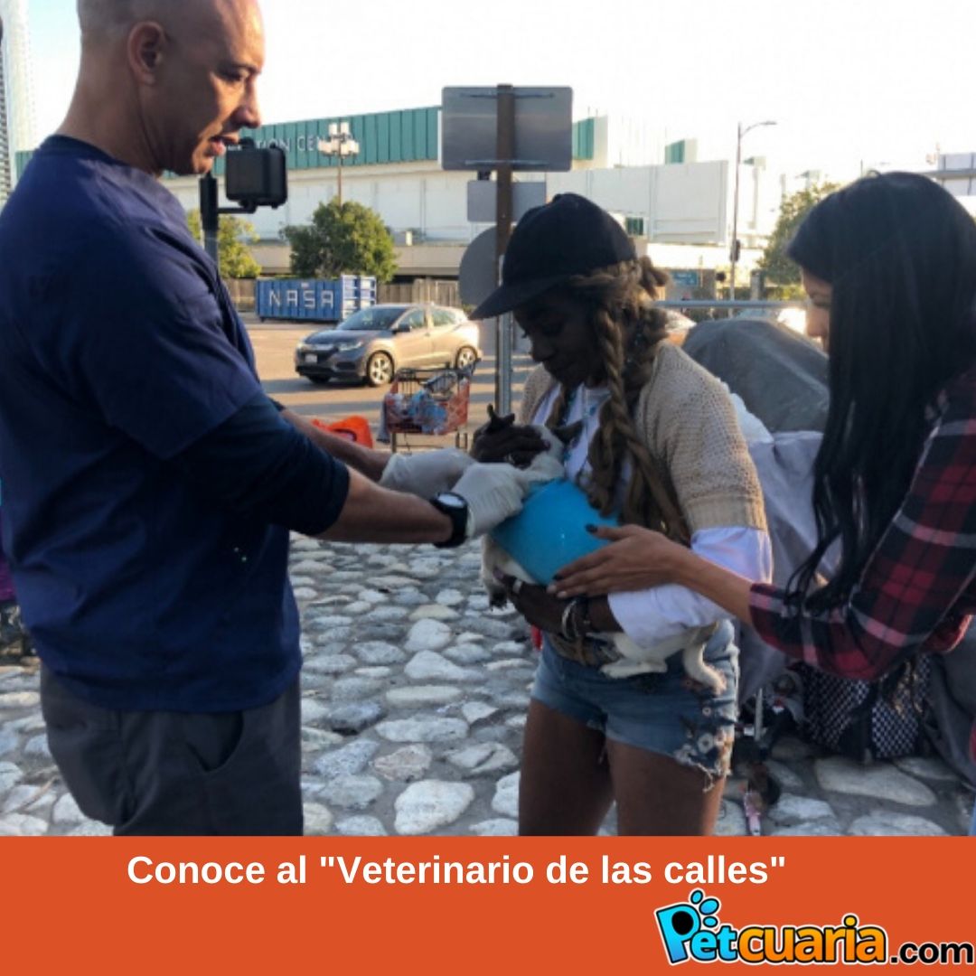 Conoce al veterinario que ha hecho suya la misi&oacute;n de ayudar a las mascotas de las personas sin hogar